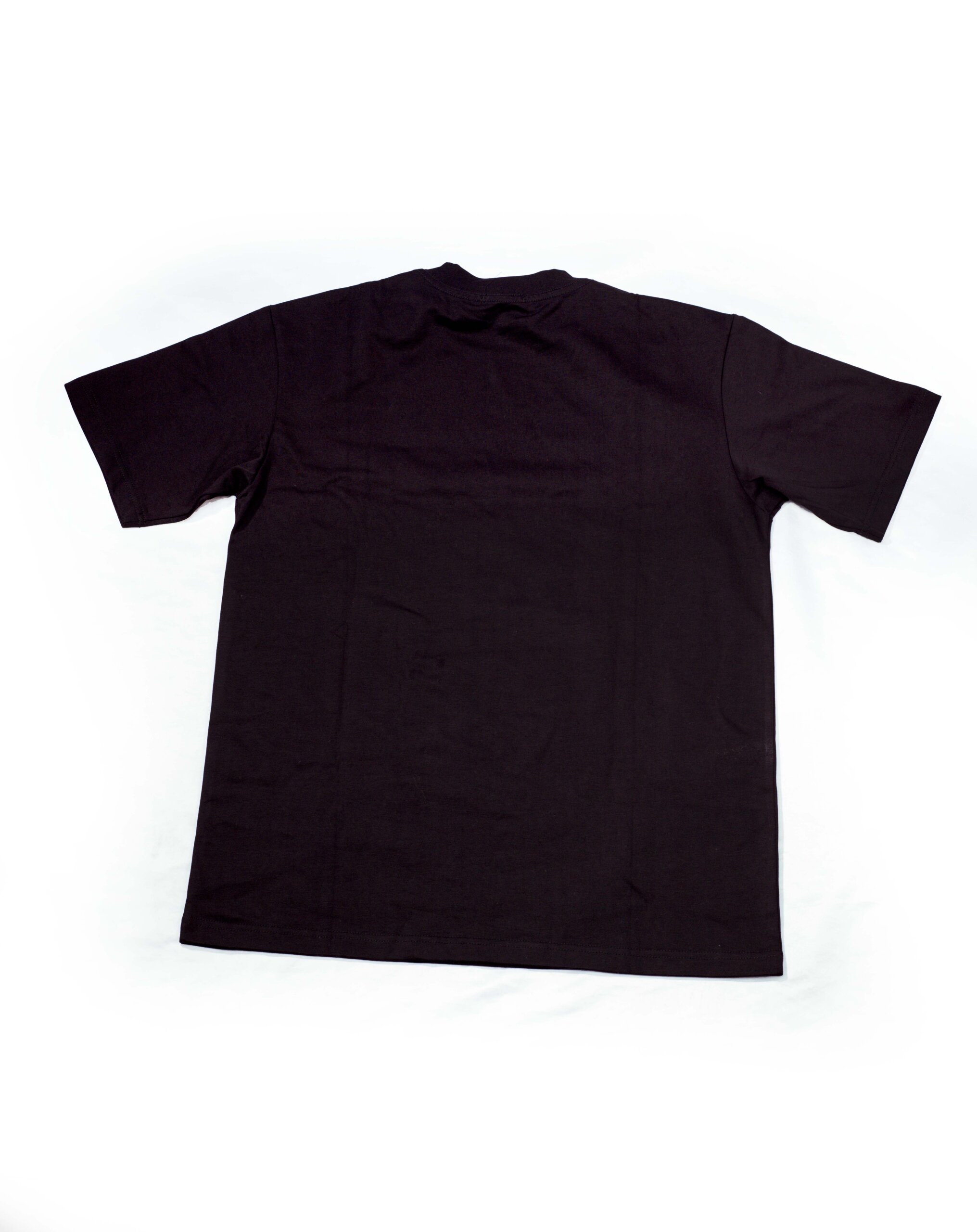 Heritage Band T-Shirt - Image 4